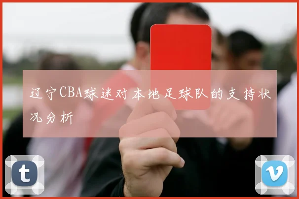 辽宁CBA球迷对本地足球队的支持状况分析