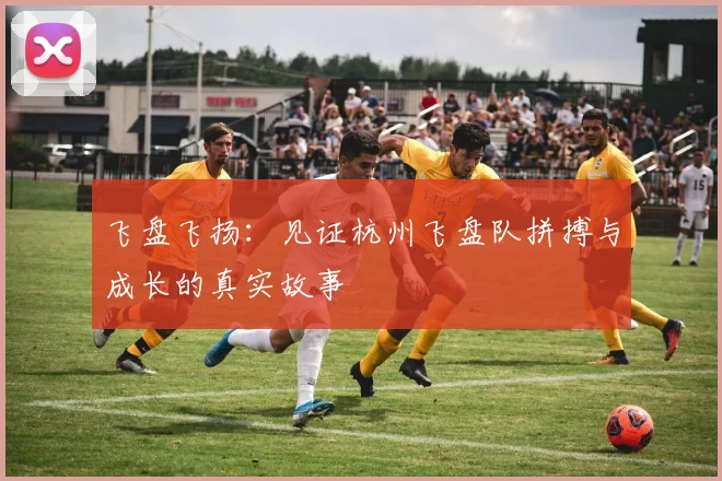 飞盘飞扬：见证杭州飞盘队拼搏与成长的真实故事