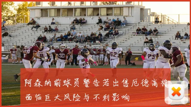 阿森纳前球员警告若出售厄德高将面临巨大风险与不利影响
